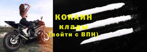 сатива Богданович
