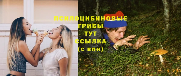 трава Богородицк