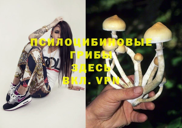 трава Богородицк
